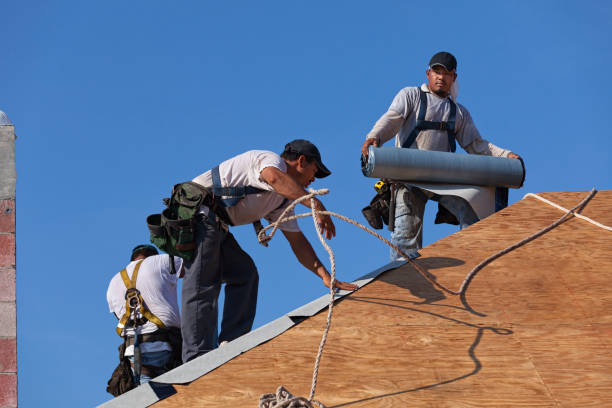 Best Best Roofing Contractors  in Colonial Heights, VA