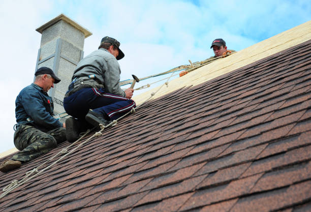 Quick and Trustworthy Emergency Roof Repair Services in Colonial Heights, VA