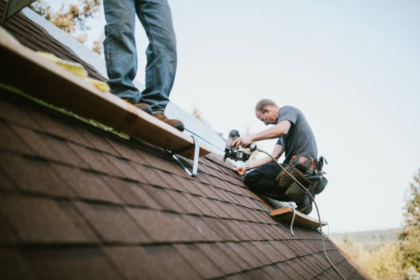 Best Metal Roofing Contractor  in Colonial Heights, VA